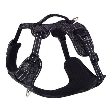 Rogz Explore Dog Harness - DAYGLO FLORAL Small